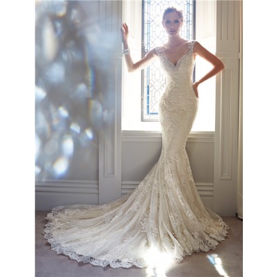 Slim Mermaid V Neckline Sheer Illusion Back Lace Beaded Crystal Wedding Dress
