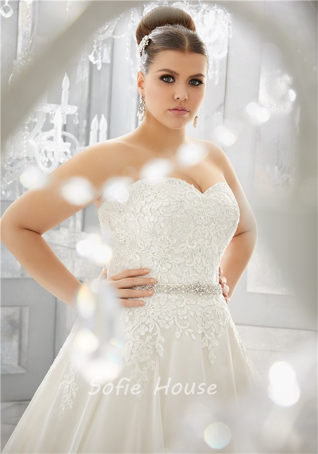 Classic Ball Gown Sweetheart Organza Lace Plus Size Wedding Dress ...