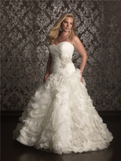 Ball Gown sweetheart chapel train organza plus size wedding dress with beading
