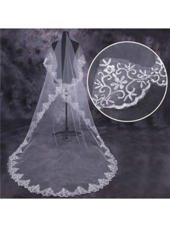 Elegant One Tier Tulle Lace Long Chapel Wedding Bridal Veil