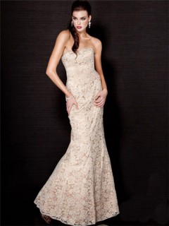 Mermaid Strapless Long Nude Champagne Lace Evening Wear Dress