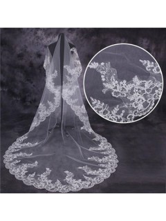 Vintage One Tier Tulle Lace Long Cathedral Wedding Bridal Veil
