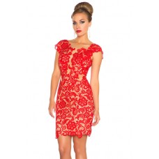 Sexy Sheath Illusion Neckline Cap Sleeve Backless Short Red Lace Party Prom Dress