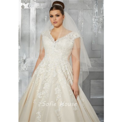 Princess A Line V Neck Cap Sleeve Organza Lace Plus Size Wedding Dress