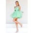 Ball Gown High Neck Keyhole Back Short Mint Green Tulle Lace Prom Dress With Collar